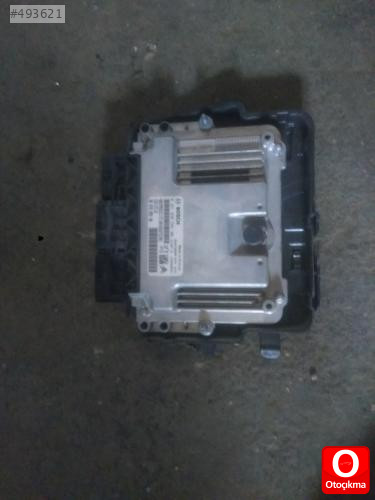 c Elyese motor beyni